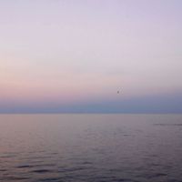 Foli - spaces, vol. 1