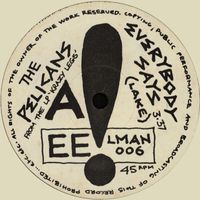 The Pelicans - Everybody Says