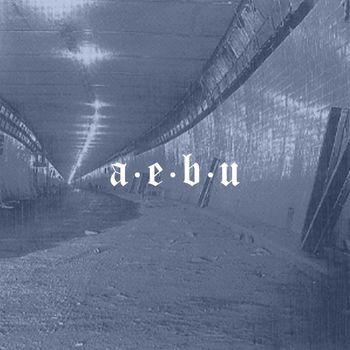 The Settlers - A.E.B.U