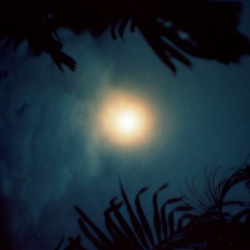 Silva - Farol das Estrelas