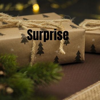 Evan Olson - Surprise