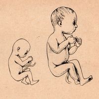 Bjarki - Mindful Moment