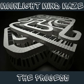 The Process - Moonlight Mind Maze