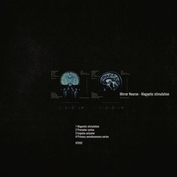 Mirror Neuron - Magnetic stimulation