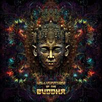 Acobas - 12-MICRO Hallucinations of the buddha