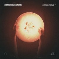 Phuture Noize and Devin Wild - Never Not Done