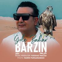 Barzin - Gole Bahar