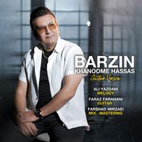 Barzin - Khanoome Hassas (Guitar Version)