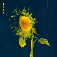 Alex Luna - Flores Amarillas