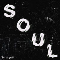 BVSIS - Soul