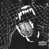 Wiles - Signs of Aggression (Explicit)