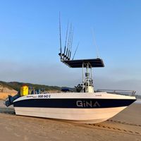 Gina - Gina