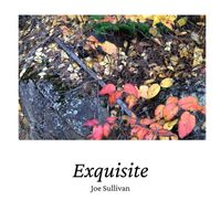 Joe Sullivan - Exquisite