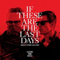 Electric Wire Hustle - If These Are the Last Days