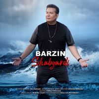 Barzin - Shabgardi
