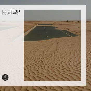 Roy Stroebel - Endless Vibe