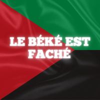 Noé - Le béké est fâché