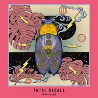 Total Recall - Iron Palms