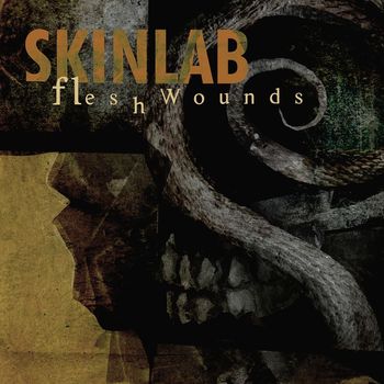 Skinlab - Flesh Wounds (Explicit)