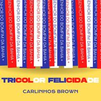 Carlinhos Brown - Tricolor Felicidade (Explicit)