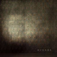 Stephen James - Duende