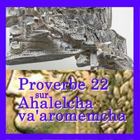 Alain Daigneault - proverbe 22 sur Ahalelcha va'aromemcha