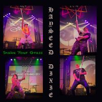 Hayseed Dixie - Snake Your Grass