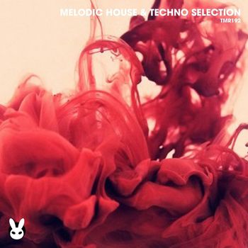 Various Artists - Melodic House & Techno Selection