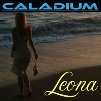 Caladium - Leona