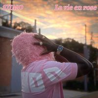SIIMO - La vie en rose