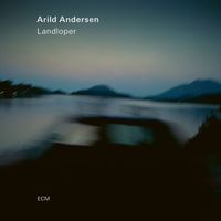 Arild Andersen - Dreamhorse (Live)