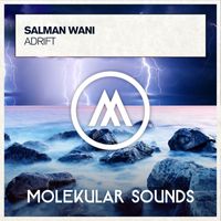 Salman Wani - Adrift