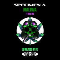 Specimen A - Mallwa (Breaks Vip)