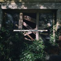 Hakalas - Time is the fire in which we burn