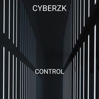 Cyberzk - Control