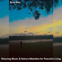 Busy Bee - Relaxing Music & Nature Melodies for Peaceful Living