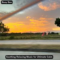 Busy Bee - Soothing Relaxing Music for Ultimate Calm