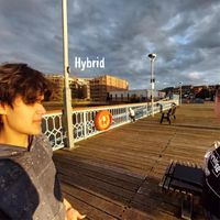 Mayonnaise - Hybrid