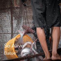 Balue - So Alive