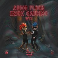 Audio Floor, Erick Gaudino - WTF (Explicit)