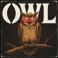 Owl - Owl