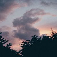 noni - hold on