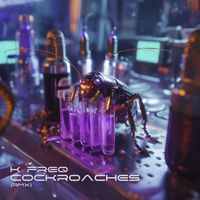 K FREQ - COCKROACHES