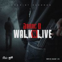 Shane O - Walk N Live (Explicit)
