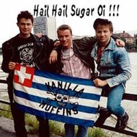 Vanilla Muffins - Hail Hail Sugar Oi