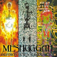 Meshuggah - Destroy Erase Improve (Reloaded)