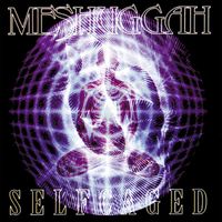 Meshuggah - Selfcaged