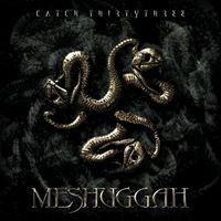 Meshuggah - Catch Thirty Three