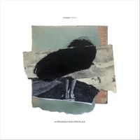 swanasa - Mirror