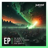 Andy Newtz - The Newtz EP